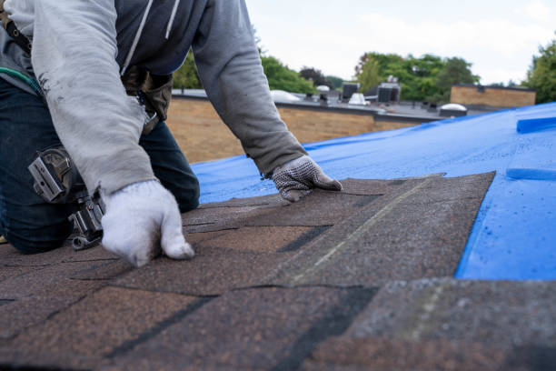 Best Metal Roofing Contractor  in Lac Du Flambeau, WI